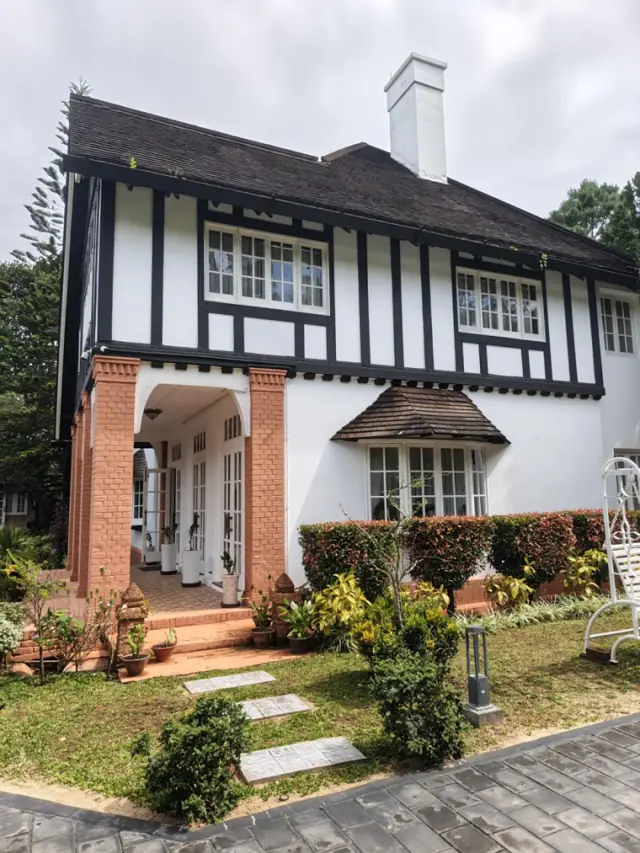 The Grey House