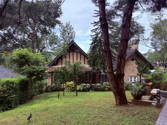 The Grey House 2